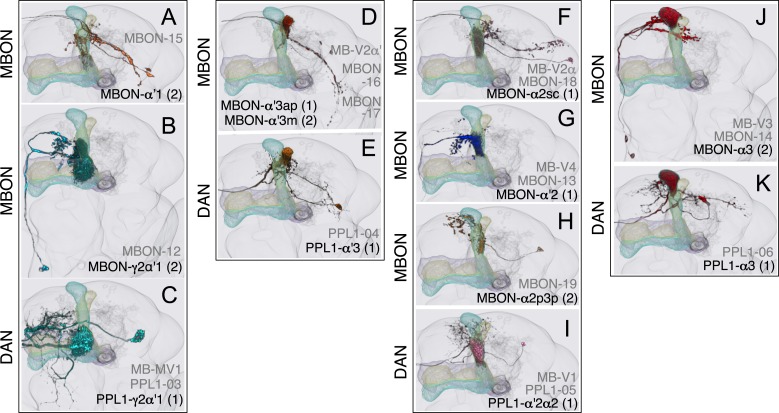 Figure 16.