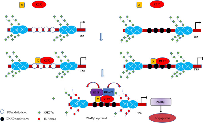 Figure 7