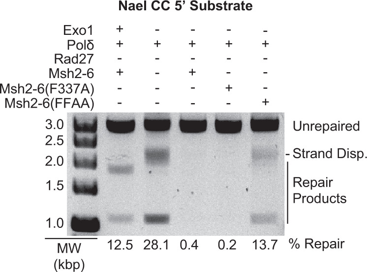 Fig. 5