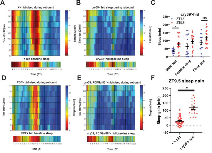 Figure 3—figure supplement 1.