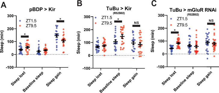 Figure 5—figure supplement 2.