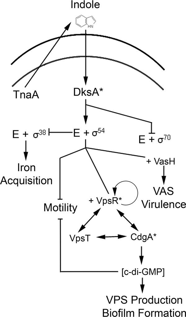 FIG. 6.