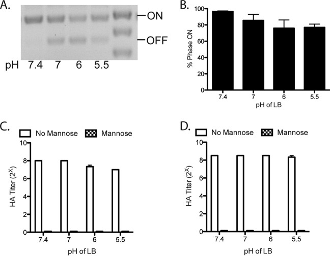 FIG 3 