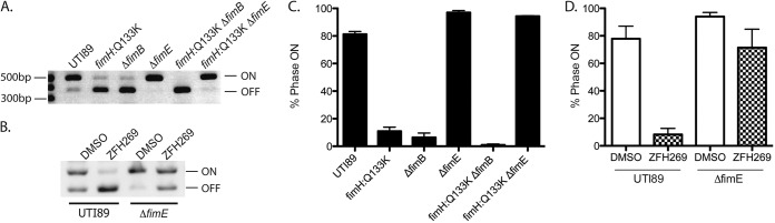 FIG 5 