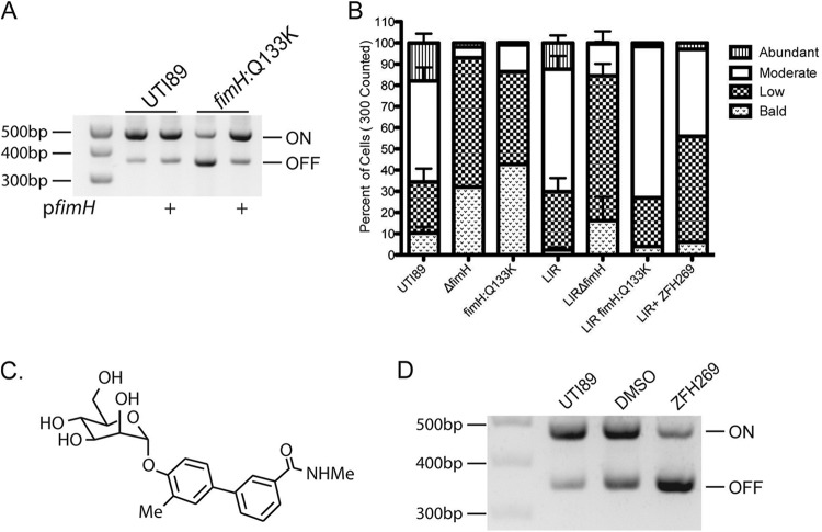 FIG 4 