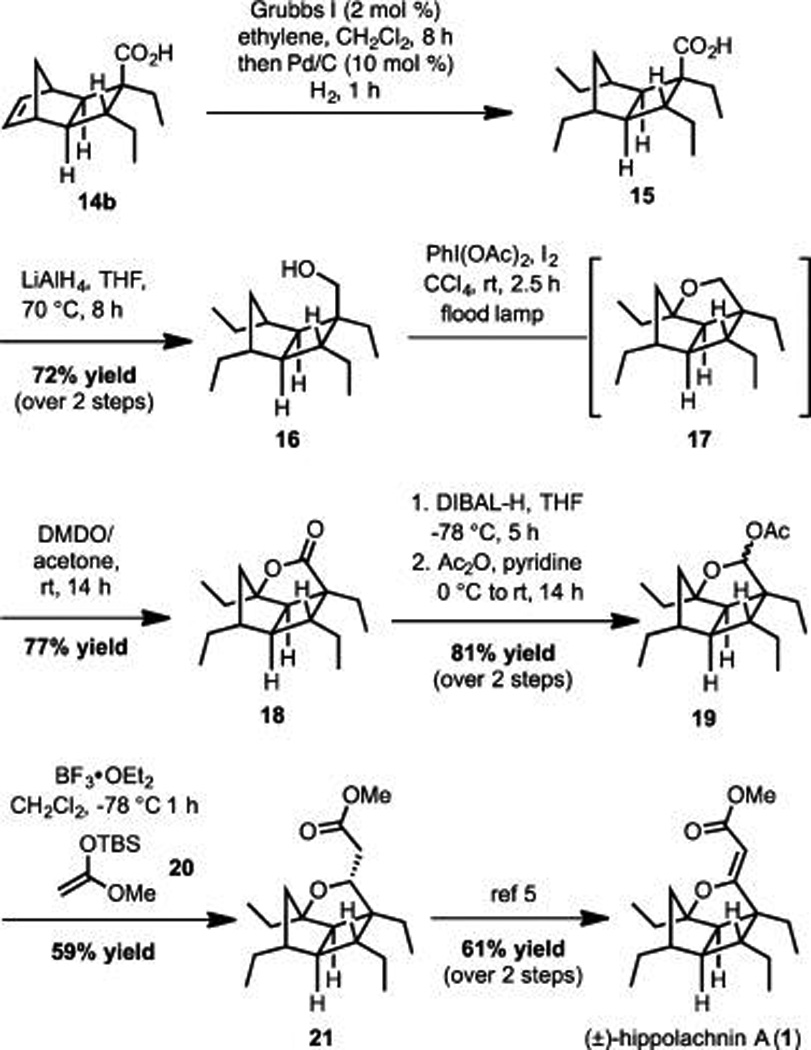 Scheme 3