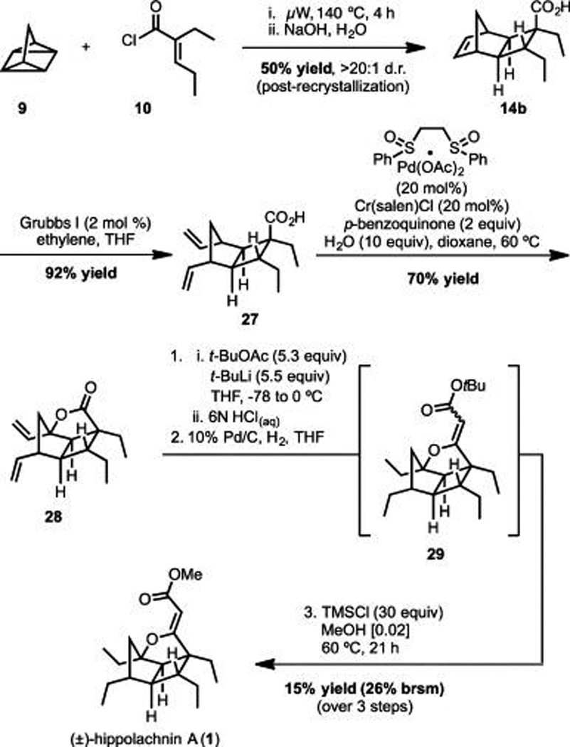 Scheme 5