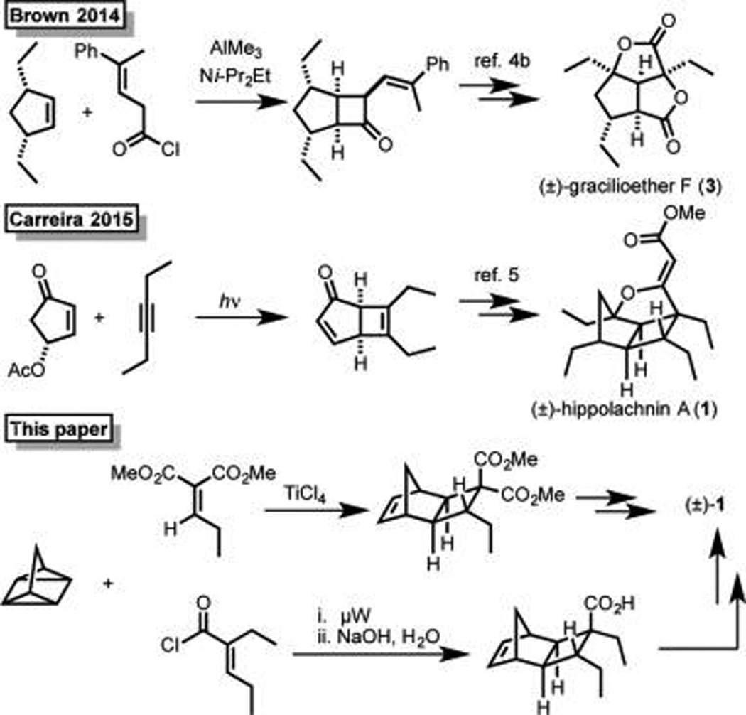 Scheme 1