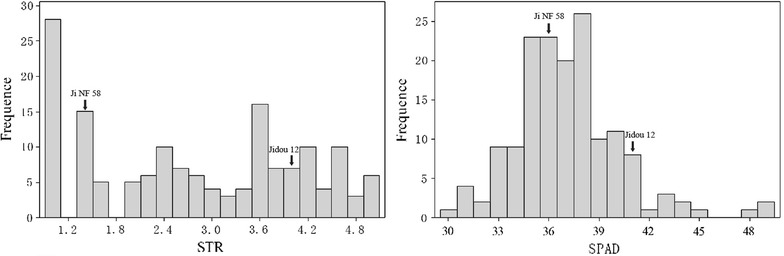 Fig. 2