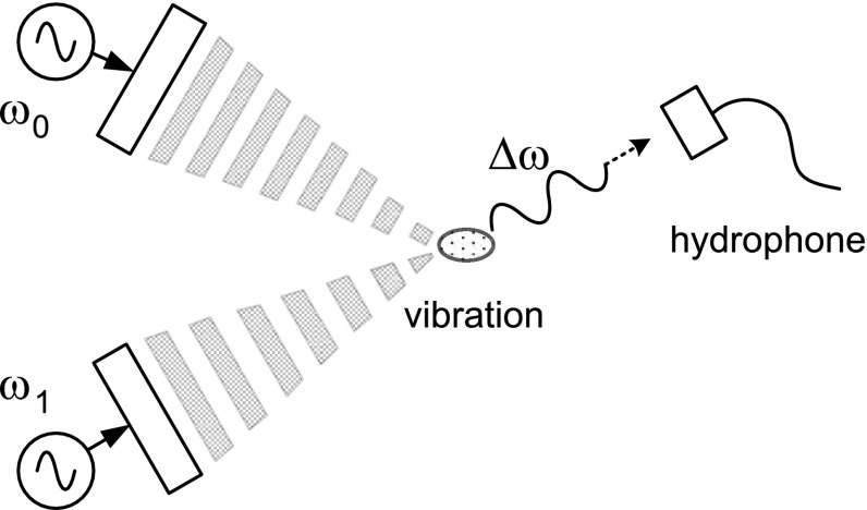 Fig. 5