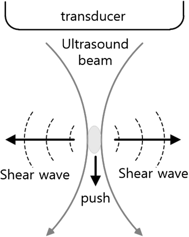 Fig. 6