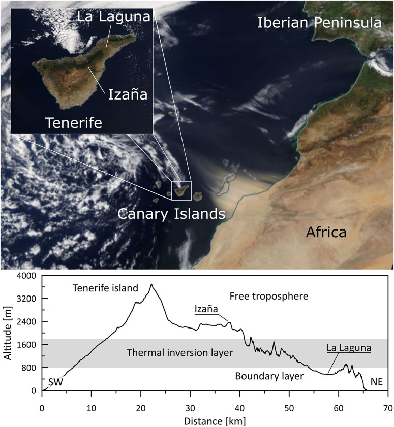 FIGURE 1