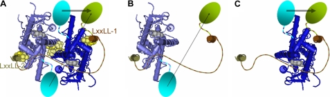 FIGURE 9.