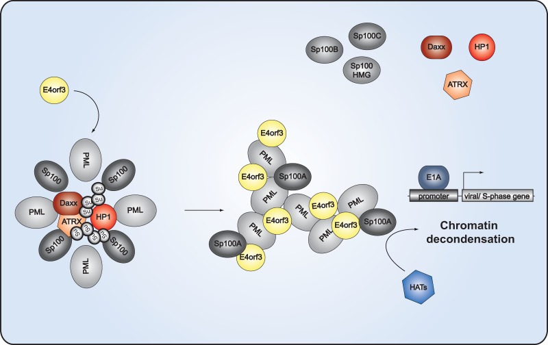 FIG 11