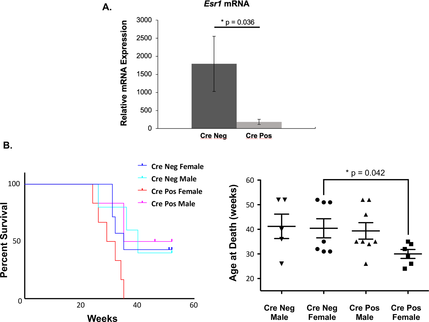 Figure 3 -