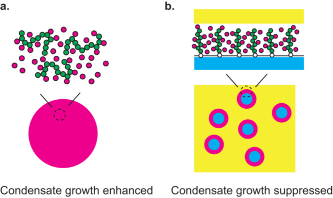 Fig. 9