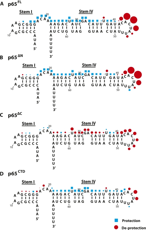 FIGURE 5.