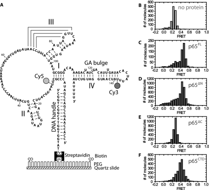 FIGURE 2.