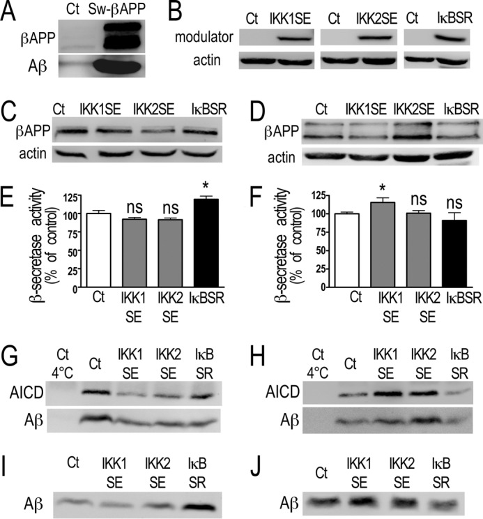 FIGURE 10.