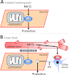 Figure 7