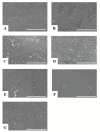 Fig. 3: