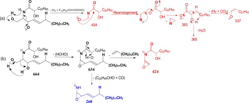 Scheme 6