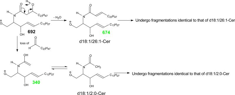 Scheme 7