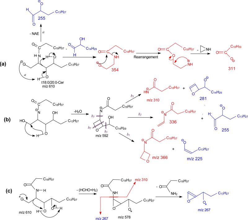 Scheme 5