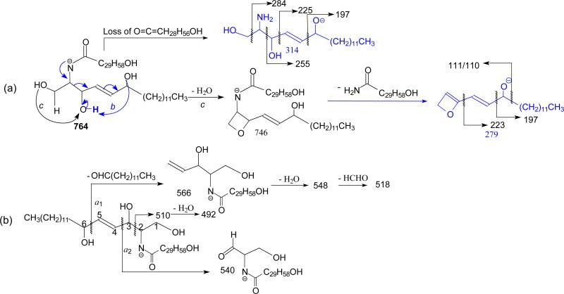 Scheme 8