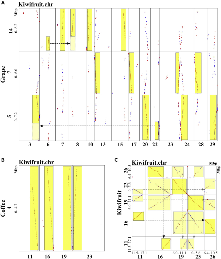 Figure 2