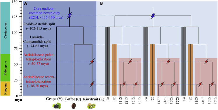 Figure 3