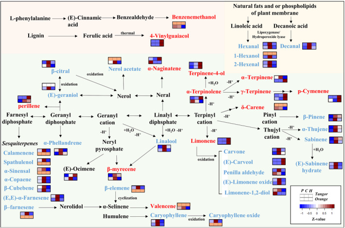 FIGURE 4