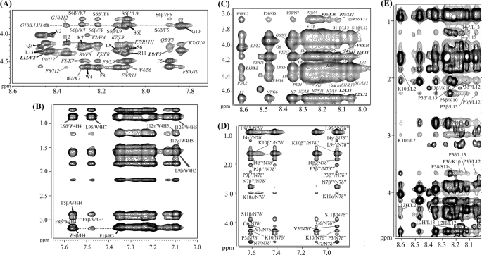 FIGURE 2.