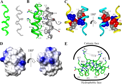 FIGURE 3.