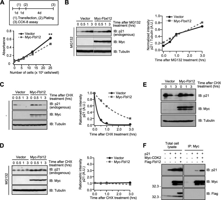 FIG 3