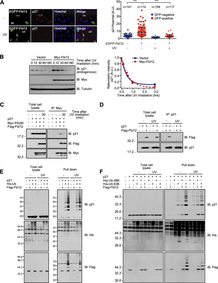 FIG 6