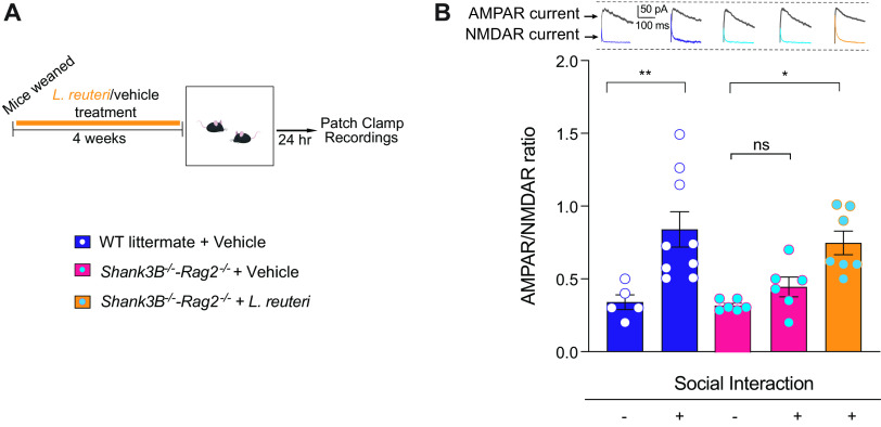 FIG 4