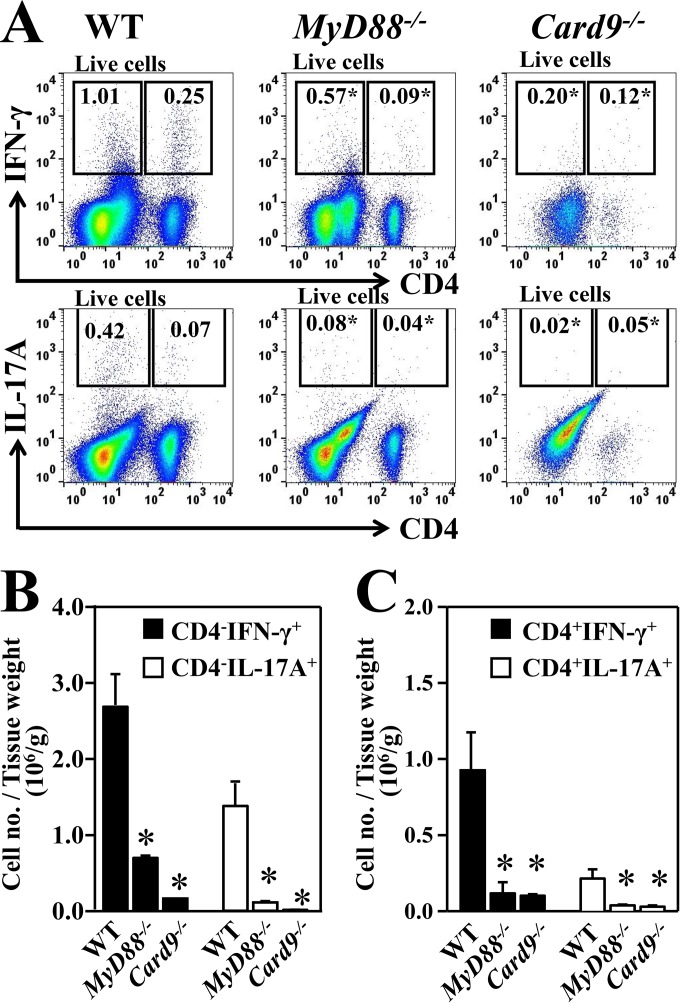 FIG 4