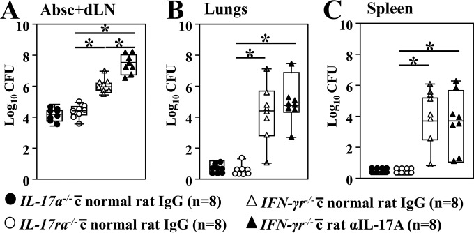 FIG 5