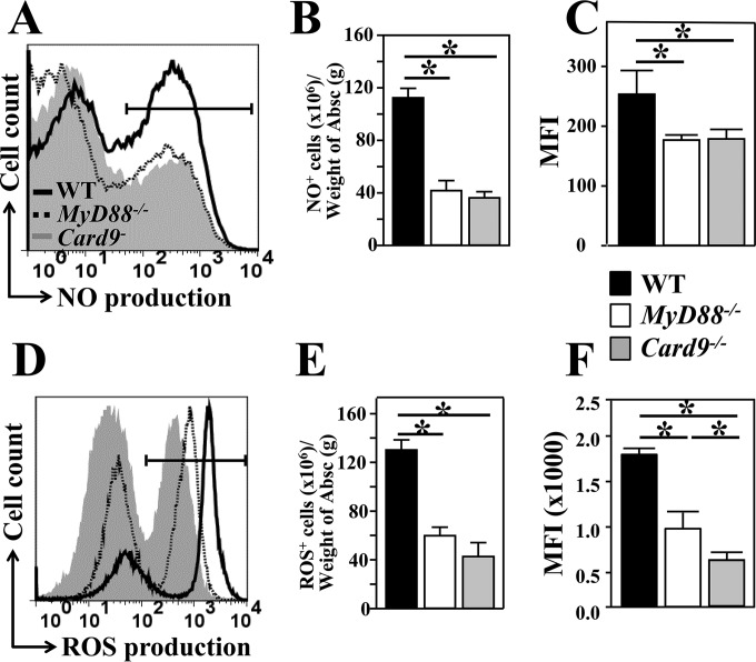 FIG 6