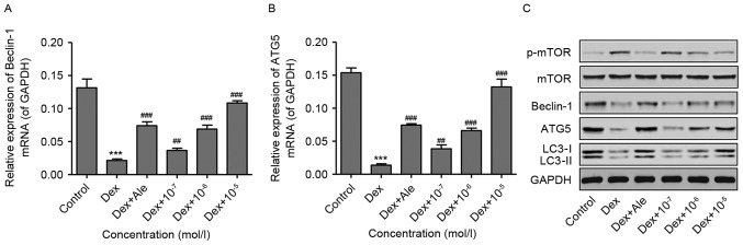 Figure 5.