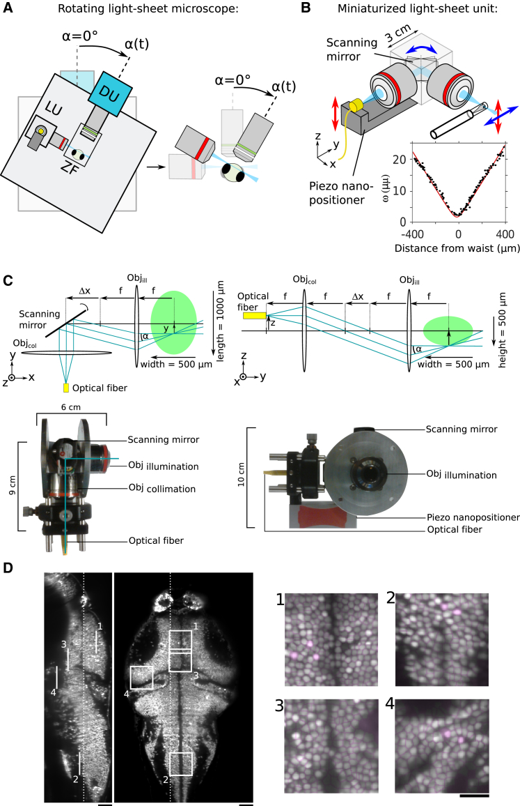 Figure 1