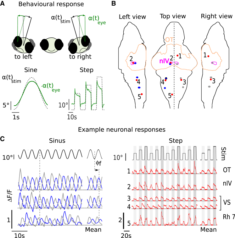 Figure 3