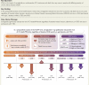 Structured Graphical Abstract
