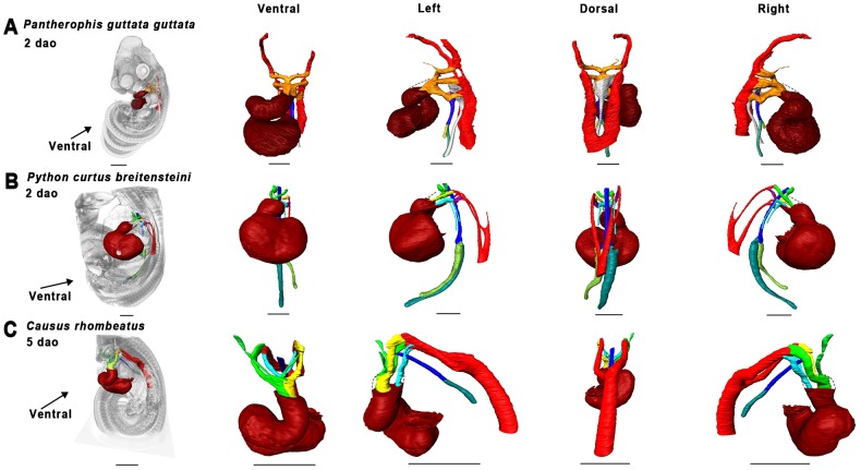 Figure 13