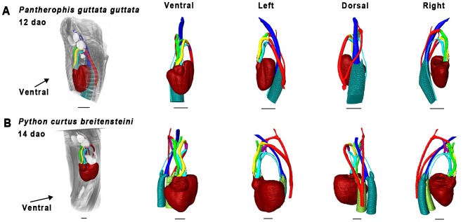 Figure 16