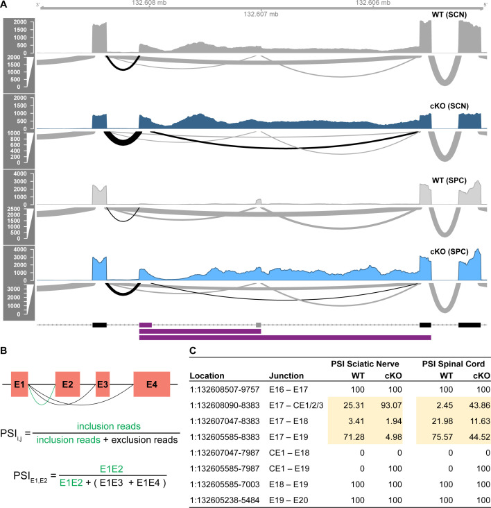 Figure 6—figure supplement 1.