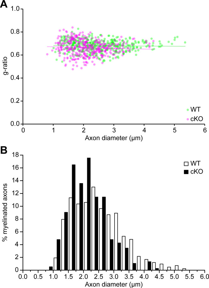 Figure 1—figure supplement 2.