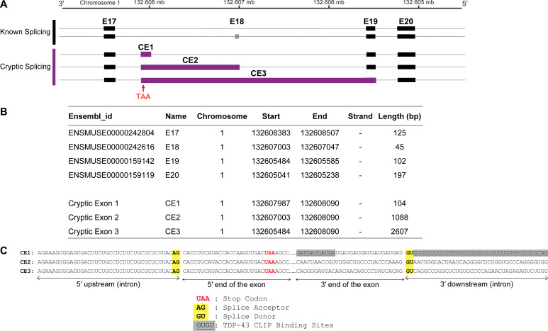 Figure 6—figure supplement 3.