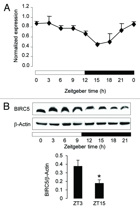 
Figure
5.